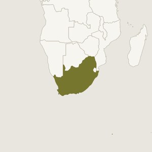 Map locating South Africa